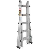Telescoping Multi-Position Ladder, Aluminum, 300 lbs., CSA Grade 1A Air Extreme Inc.