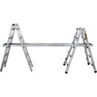 Telescoping Multi-Position Ladder, Aluminum, 300 lbs., CSA Grade 1A Air Extreme Inc.