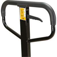 Manual Pallet Truck, Steel, 48" L x 27" W, 5500 lbs. Capacity Air Extreme Inc.