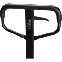 Steel Wheel Pallet Truck, Steel, 48" L x 27" W, 5500 lbs. Capacity Air Extreme Inc.