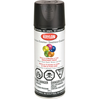 Industrial Acryli-Quik Lacquer, Black, Semi-Flat, 12 oz., Aerosol Can Air Extreme Inc.