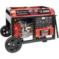 Gasoline Generator with Electric Start, 12600 W Surge, 9000 W Rated, 120 V/240 V, 31 L Tank Air Extreme Inc.