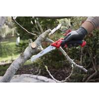 7” Folding Pruning Saw with ?Straight Blade Air Extreme Inc.