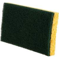 &eacute;ponges utilitaires, Cellulose, 6" la x 3-1/2" l Air Extreme Inc.