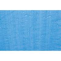 Tarp, Standard Duty, Blue, 7' x 5' x 4 mils Air Extreme Inc.