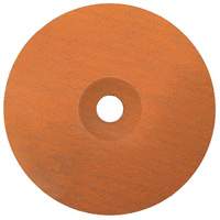 Coolcut XX Sanding Disc, Aluminum Oxide/Ceramic, 24, 7" Dia x 7/8" Arbor Air Extreme Inc.