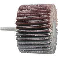 Disque &agrave; lamelles mont&eacute; sur mandrin, Grain A60, 2-1/2" x 1" x 1/4" Air Extreme Inc.