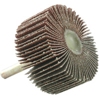 Disque &agrave; lamelles mont&eacute;, Grain 60, 2" x 1" x 1/4" Air Extreme Inc.
