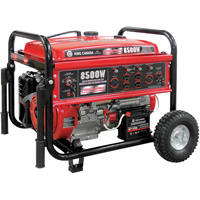 Gas Powered Generators