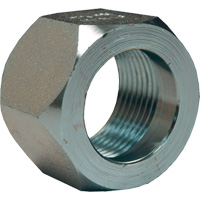 &eacute;crou hexagonal de minage Dixon, 1", Zingu&eacute;, Filetage NPT Air Extreme Inc.