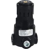 R&eacute;gulateur miniature R03 Wilkerson, 1/8" NPT, PSI max. de 300 psi, Standard Air Extreme Inc.