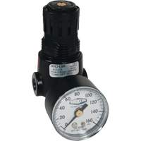 R&eacute;gulateur miniature R04 Wilkerson, 1/4" NPT, PSI max. de 300 psi, Standard Air Extreme Inc.