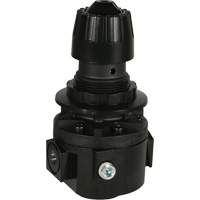 R&eacute;gulateur Wilkerson R26, 3/8" NPT, PSI max. de 300 psi, Standard Air Extreme Inc.