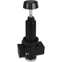 R&eacute;gulateur &agrave; d&eacute;bit &eacute;lev&eacute; R30 Wilkerson, 3/4" NPT, PSI max. de 300 psi, Standard Air Extreme Inc.