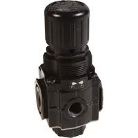 Collecteur de r&eacute;gulateur de s&eacute;rie 1, 1/4" NPT, PSI max. de 150 psi, Standard Air Extreme Inc.