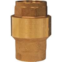 Horizontal Swing Check Valve Air Extreme Inc.