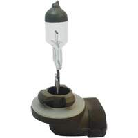 Ampoule automobile basse tension Air Extreme Inc.