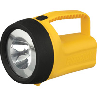 EverReady&reg; Readyflex Floating Lantern, LED, 80 Lumens, D Batteries Air Extreme Inc.