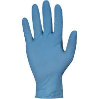 KeepKleen&reg; RDNPF Disposable Gloves, Large, Nitrile, 4-mil, Powder-Free, Blue, Class 2 Air Extreme Inc.