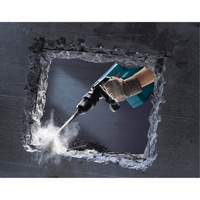 Demolition Hammer Air Extreme Inc.