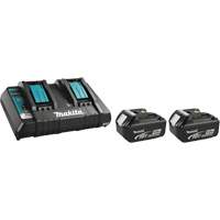 Ensemble de chargeur et batterie Air Extreme Inc.