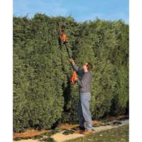 Ensemble de taille-haie sur perche sans fil Max* Air Extreme Inc.