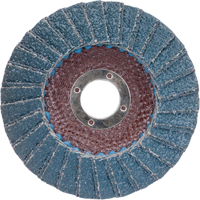 Disques à lamelles
