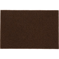 Tampons manuels Bear-Tex, Oxyde d'aluminium, 6" x 9", Grain Moyen Air Extreme Inc.