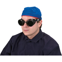Cup Goggles, 5.0 Lens, Anti-Scratch, Closed Vent Air Extreme Inc.