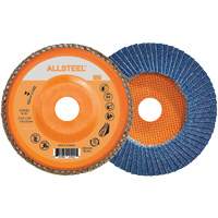Disques à lamelles