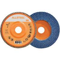 Flap Discs