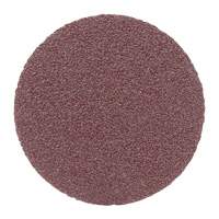 PSA Cloth Disc, 2" Dia., 80 Grit, Aluminum Oxide Air Extreme Inc.