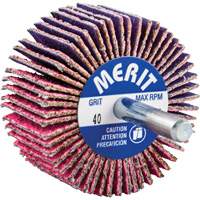 Mini-meule &agrave; lamelles mont&eacute;e sur tige, C&eacute;ramique d'alumine, Grain 40, 2" x 1" x 1/4" Air Extreme Inc.