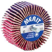 Mini-meule &agrave; lamelles filet&eacute;es, C&eacute;ramique d'alumine, Grain 40, 2" x 1" x 1/4"-20 Air Extreme Inc.
