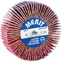 Mini-meule &agrave; lamelles filet&eacute;es, C&eacute;ramique d'alumine, Grain 40, 3" x 1" x 1/4"-20 Air Extreme Inc.