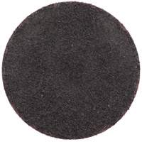 Gemini R766/R228 Quick-Change Cloth Disc, 2" Dia., 36 Grit, Aluminum Oxide Air Extreme Inc.