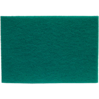 Tampons manuels Bear-Tex, Oxyde d'aluminium, 6" x 9", Grain Tr&egrave;s fin Air Extreme Inc.