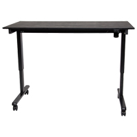 Adjustable Stand-Up Desk, Stand-Alone Desk, 45-1/4" H x 29-1/2" D, Black Air Extreme Inc.
