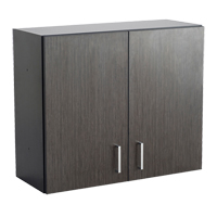 Modular Wall Cabinet, 30" H x 36" W x 15" D, 1 Shelves, Melamine, Asian Night/Black Air Extreme Inc.