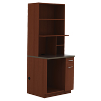 Modular Cabinet, Melamine, 39" H x 36" W x 25" D, Mahogany Air Extreme Inc.
