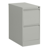 Vertical Filing Cabinet, Steel, 2 Drawers, 15-1/7" W x 25" D x 29" H, Grey Air Extreme Inc.