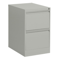 Vertical Filing Cabinet, Steel, 2 Drawers, 18-1/7" W x 25" D x 29" H, Grey Air Extreme Inc.