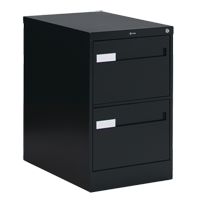 Vertical Filing Cabinet with Recessed Drawer Handles, 2 Drawers, 18.15" W x 26.56" D x 29" H, Black Air Extreme Inc.