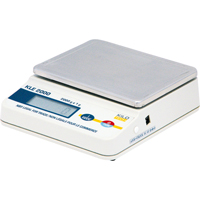 Economy Precision Scales, 2000 g Cap., 1 g Graduations Air Extreme Inc.