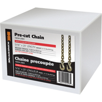 Chains Air Extreme Inc.