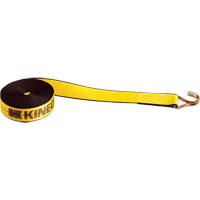 Winch Straps, Wire Hook, 2" W x 30' L, 1670 lbs. (751 kg) Working Load Limit Air Extreme Inc.