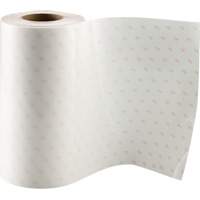 Industrial Protective Film, Polyurethane, 610 mm (24") W x 33 m (108') L, 8 mils Thick Air Extreme Inc.