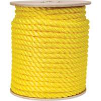 Braided Yellow Rope, Polypropylene, 300' Air Extreme Inc.