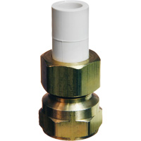 Transition Adapter, 1/2" Dia., Brass/CPVC Air Extreme Inc.