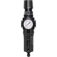 Filtre/r&eacute;gulateur drain manuel avec bol en m&eacute;tal Modulair 300, 1/4" NPT, 250 PSI, Capacit&eacute; de 5,1 oz liq. Air Extreme Inc.